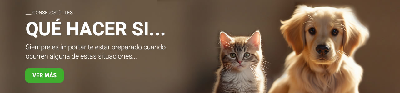 Qué hacer si...